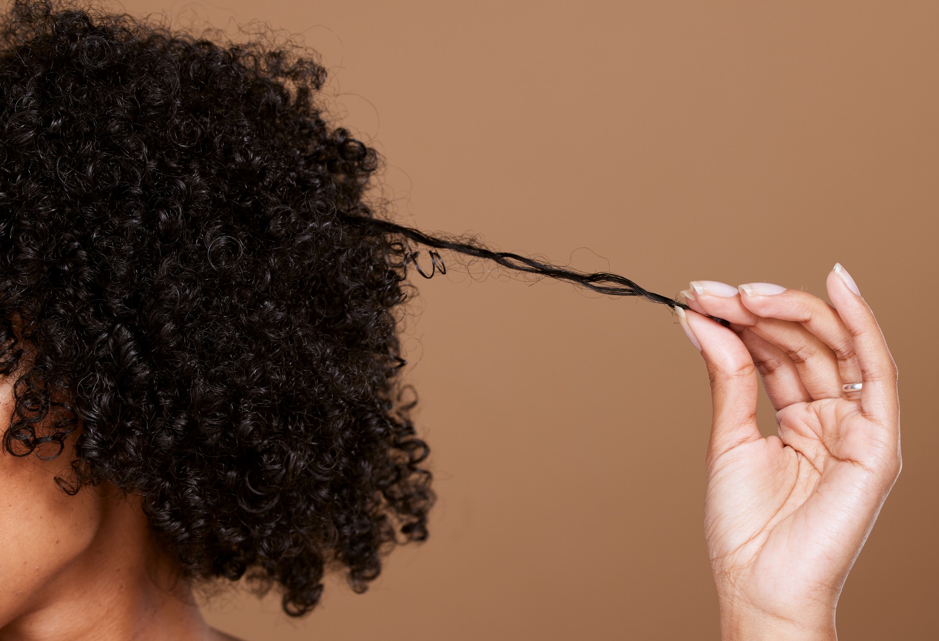 Hair care, beauty and black woman hand with curly hair on brown background in studio. Hair salon, wellness and girl holding curl marketing hair treatment products for growth, natural and healthy hair